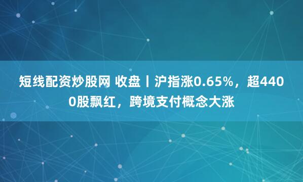 短线配资炒股网 收盘丨沪指涨0.65%，超4400股飘红，跨境支付概念大涨