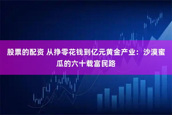 股票的配资 从挣零花钱到亿元黄金产业：沙漠蜜瓜的六十载富民路